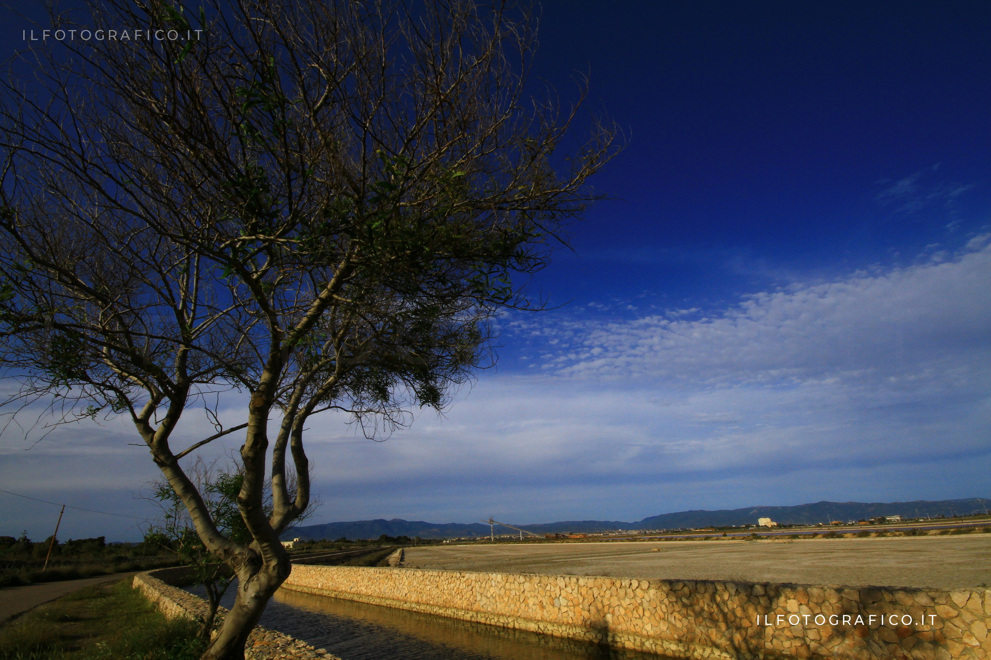 parco di molentargius saline cagliari